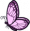 butterfly-kl.png